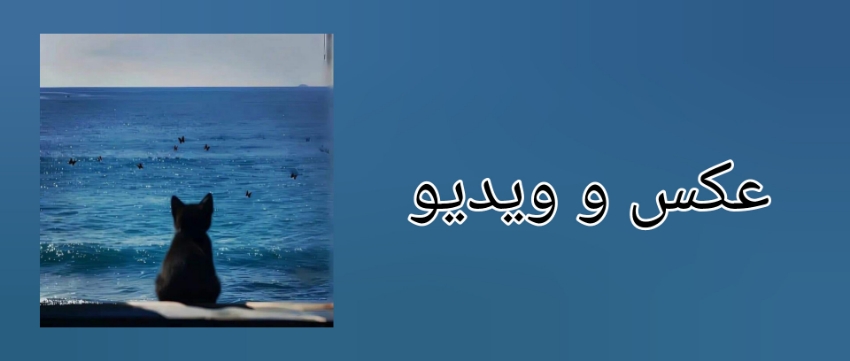 خلاصه زندگی
