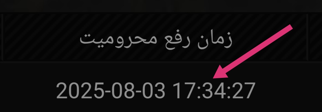 8af304_25Screenshot-20250804-134349.jpg