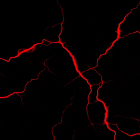 8d6a29_25InShot-20250529-175912882.gif