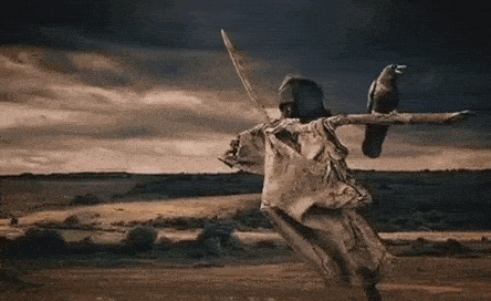 8fbe20_251000053166-gif.gif
