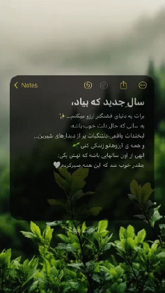 944819_25586.gif