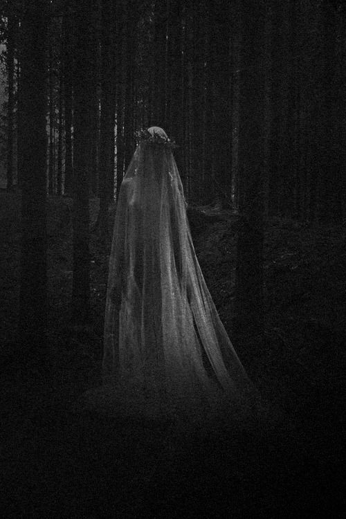 945614_2555751a57d61392bf3c1f2f7d610d1af