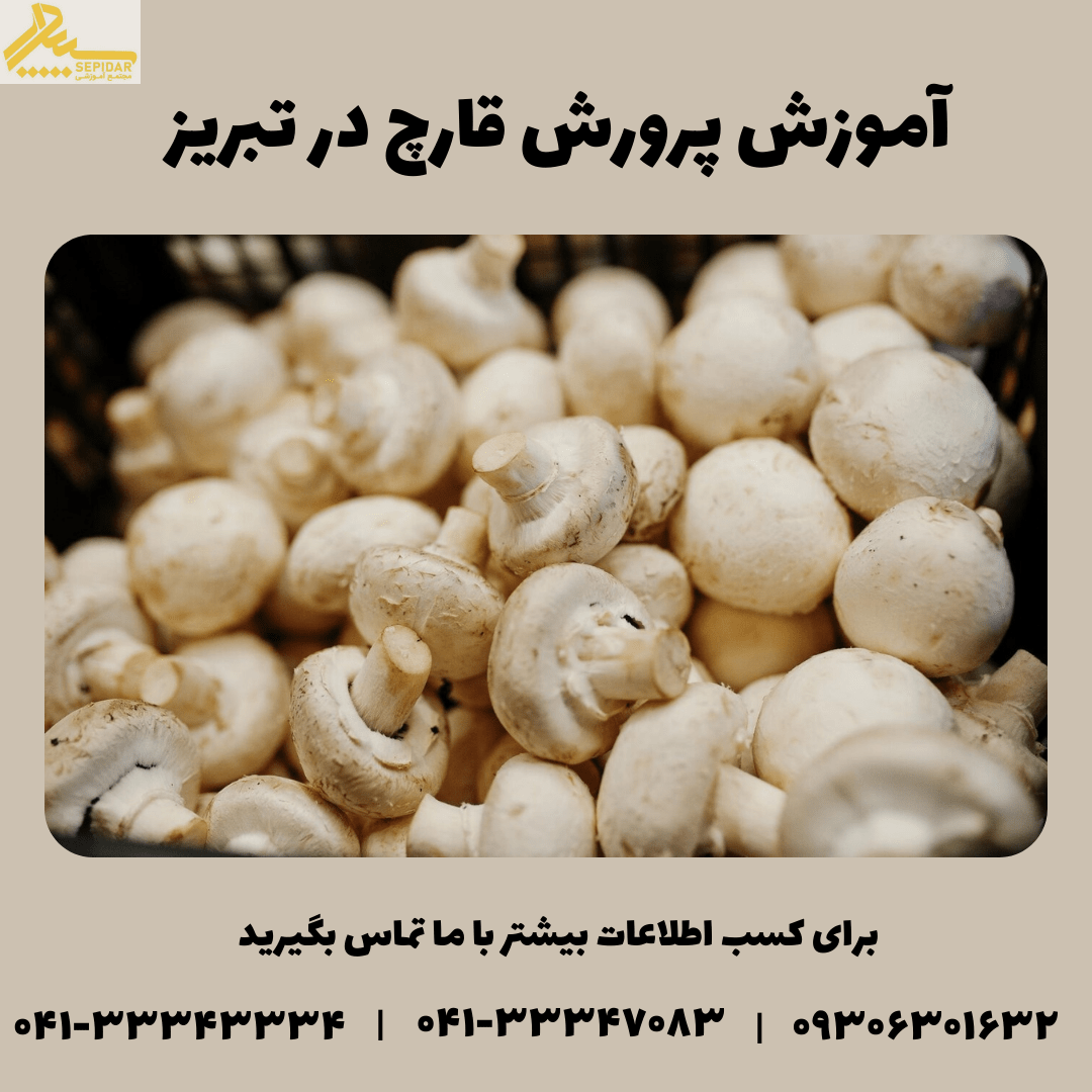 آموزش پرورش قارچ در تبریز