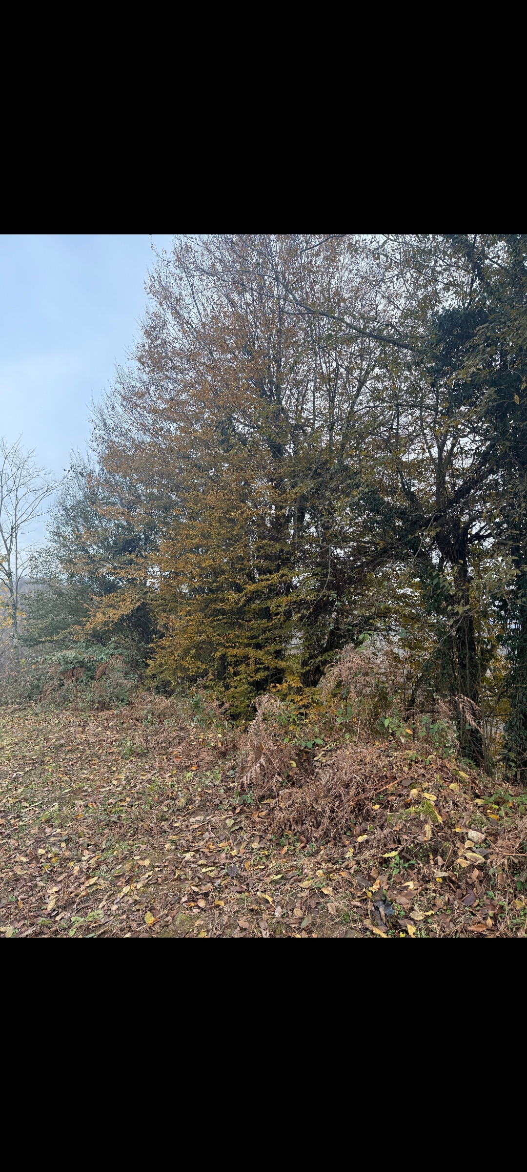 959d23_26Screenshot-%DB%B2%DB%B0%DB%B2%D