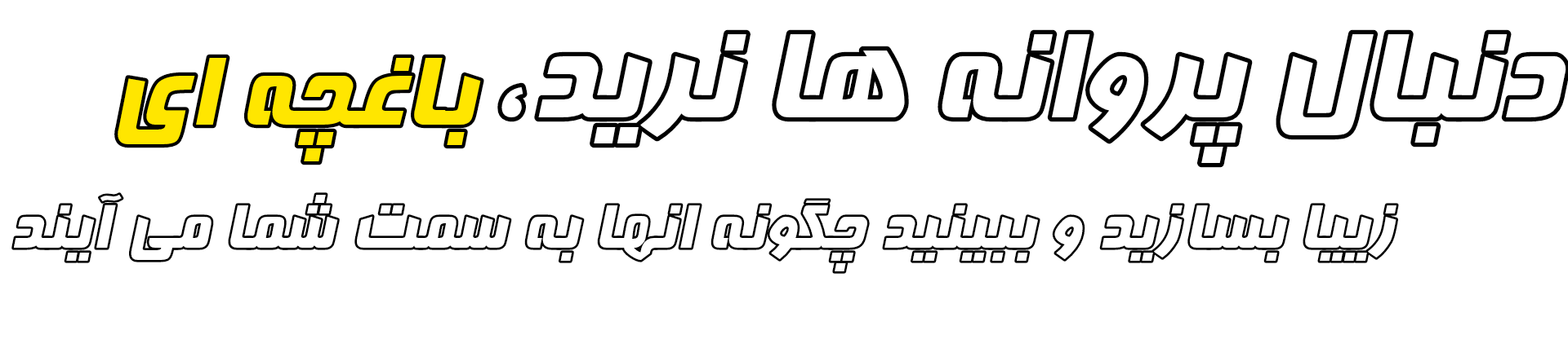962605_26InShot-%DB%B2%DB%B0%DB%B2%DB%B6