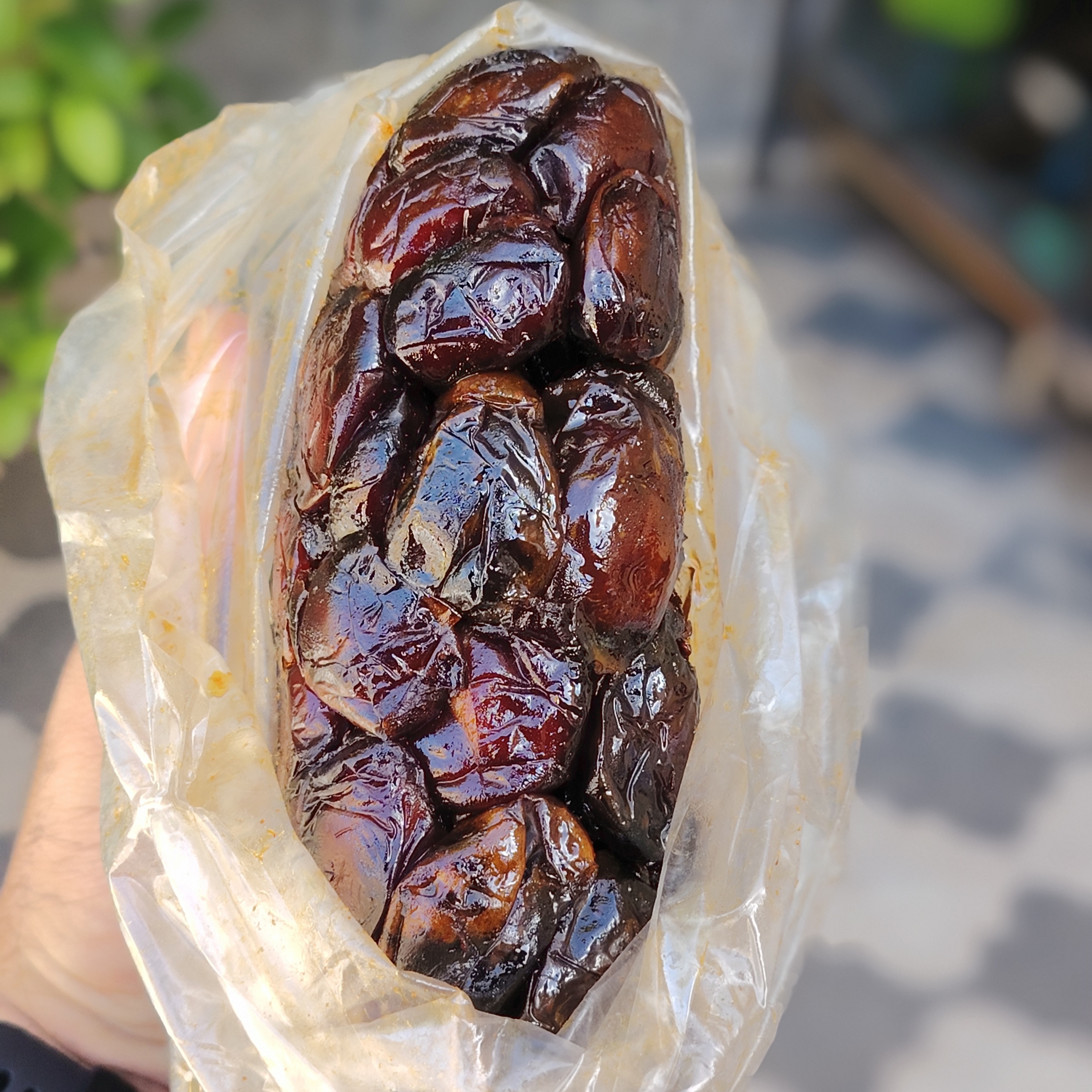 «همه‌چیز از چند بسته خرما مادرم شروع شد...»