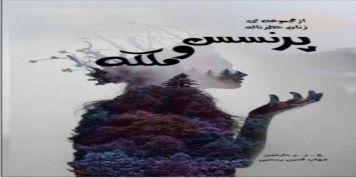 معرفی رمان پرنسس و ملکه