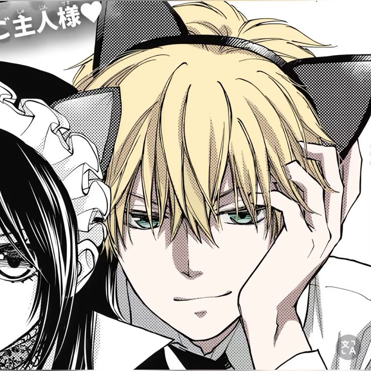 Myow Blog