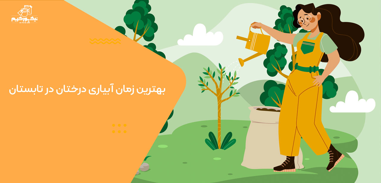 بهترین زمان آبیاری درختان در تابستان