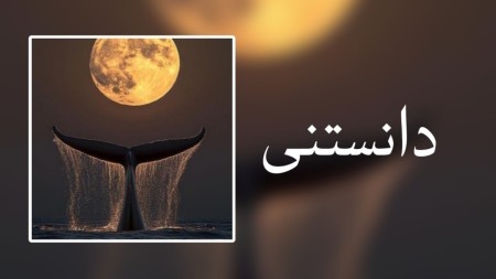 دانستنی