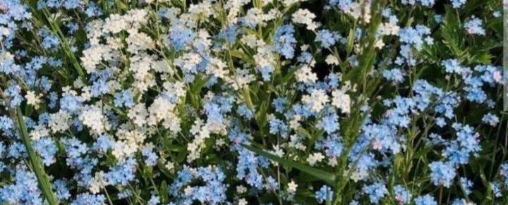 بهترین فیلم و سریال کره ای🦋✨