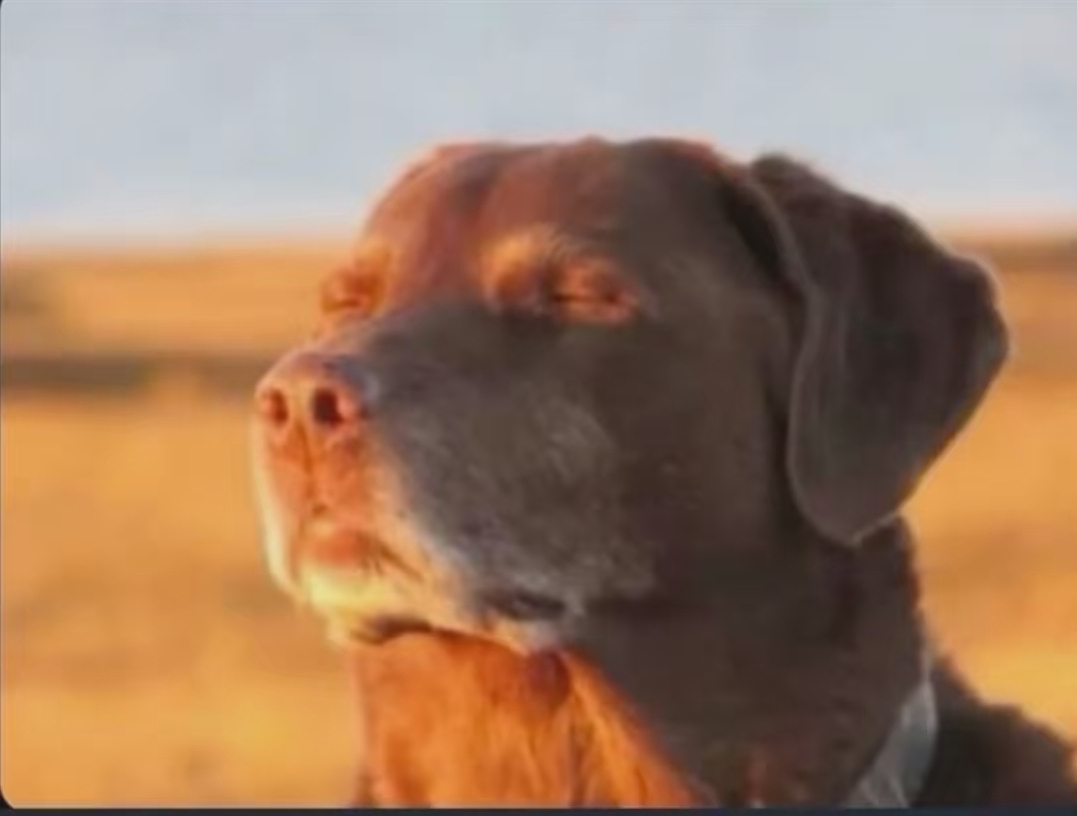 a5b105_25SmartSelect-20251105-141955-Gal