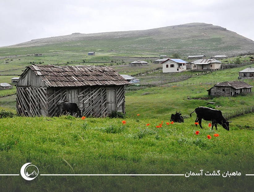 تور سوباتان