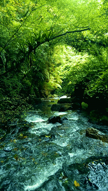 a86526_252cb1d05c-246b-4e9a-8417-9b6f46043999.gif