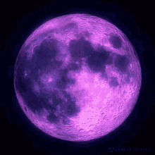 a97c18_256521367f14837.gif