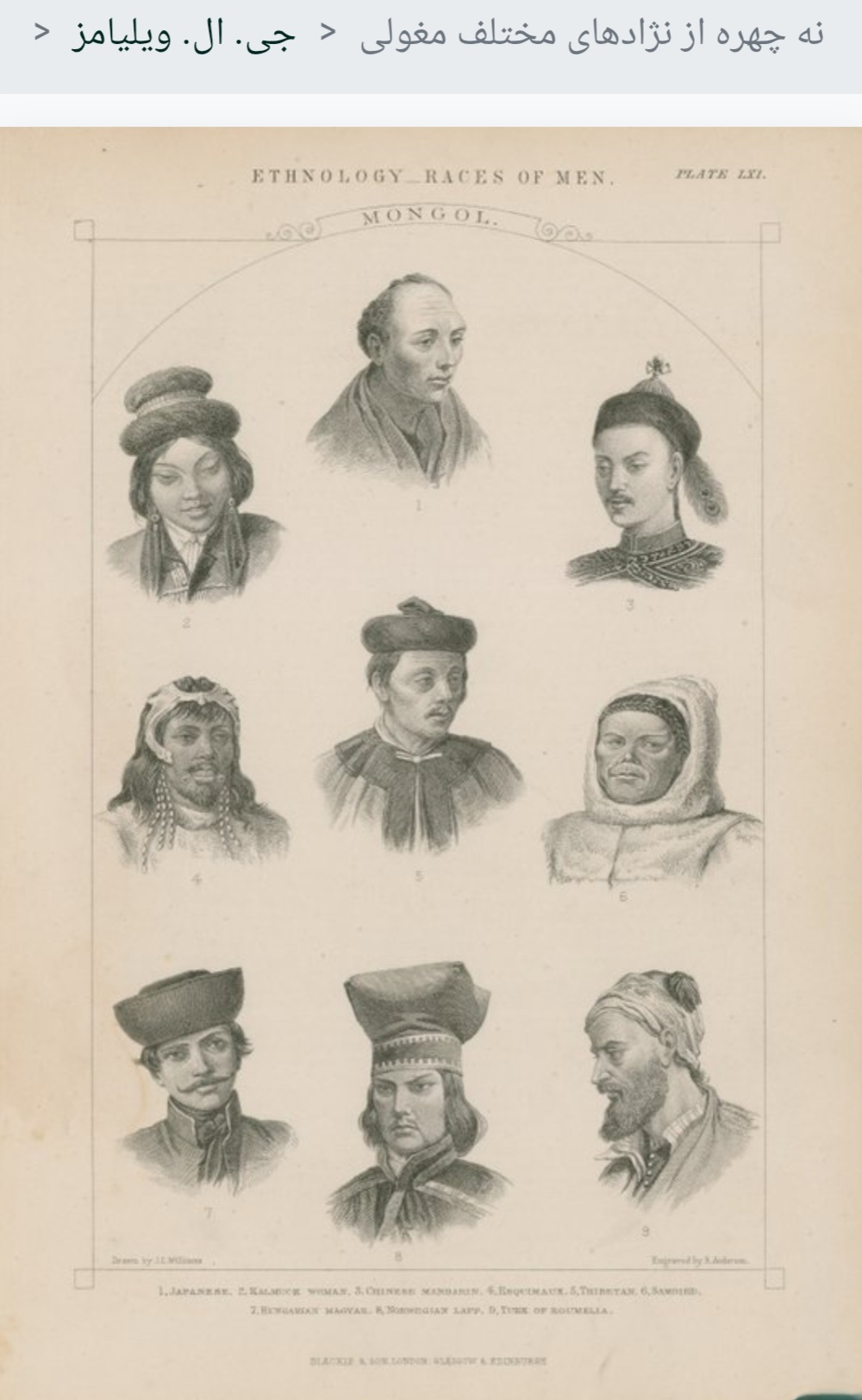 تصاویر ماندگار