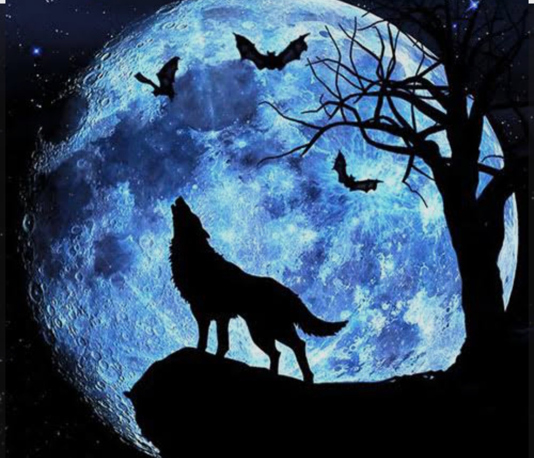 adf120_25IMG-%DB%B2%DB%B0%DB%B2%DB%B5%DB