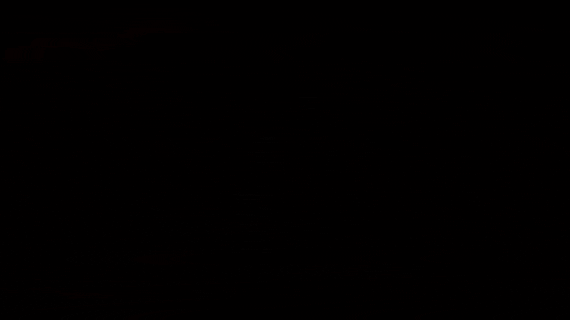 ae7827_26InShot-20260628-000855775.gif