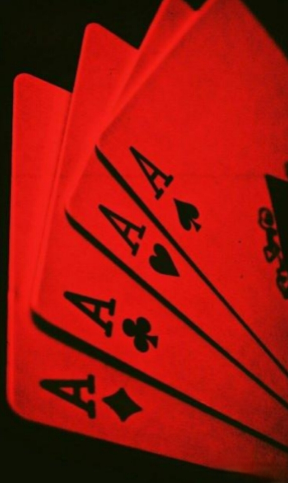 b9bf21_26InShot-20260921-162251310.jpg