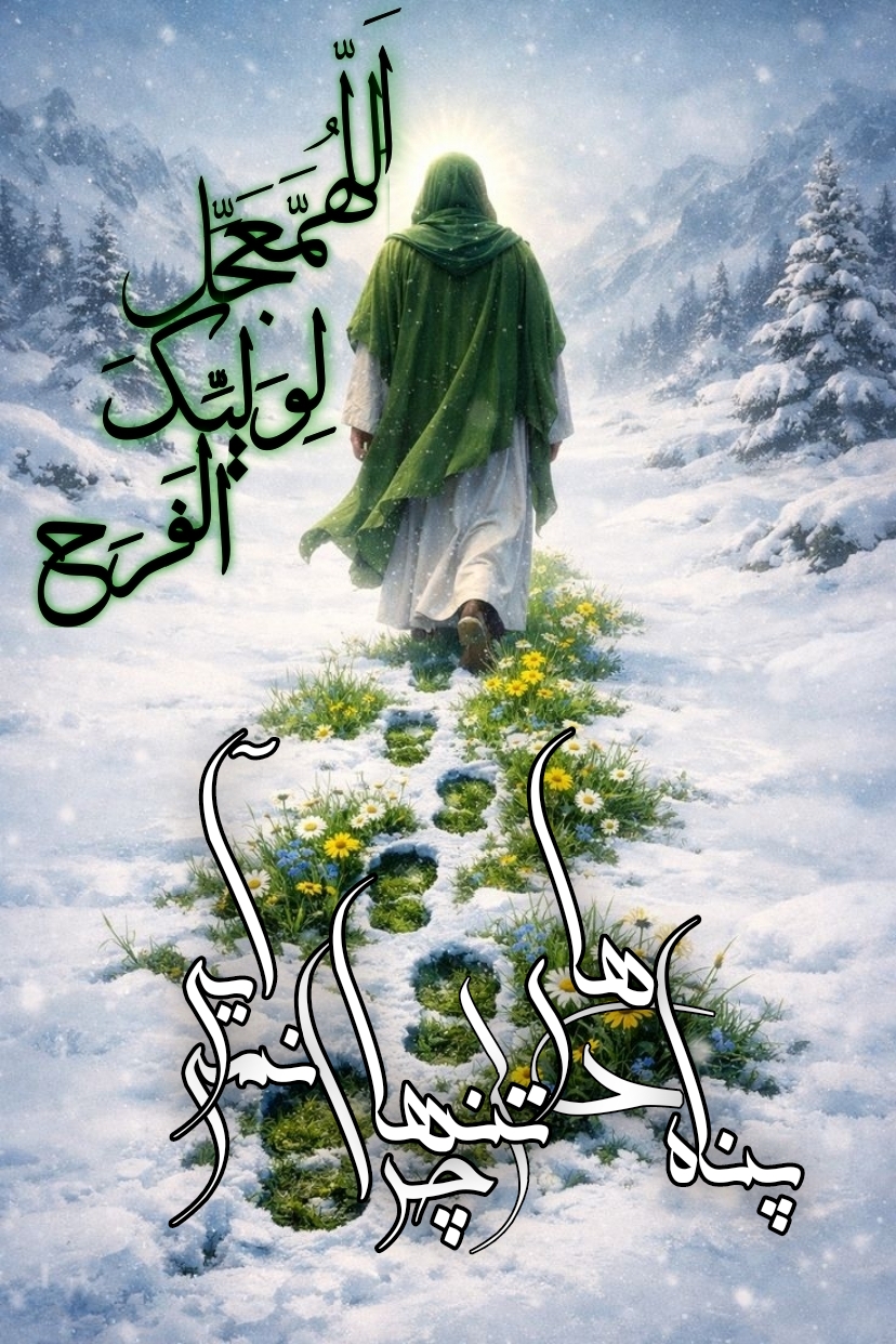 bb7c15_26negar-1770755064700-53u.jpg