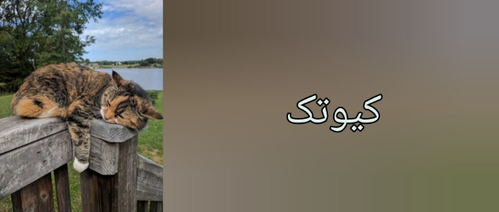 سرگرمی کوتاه