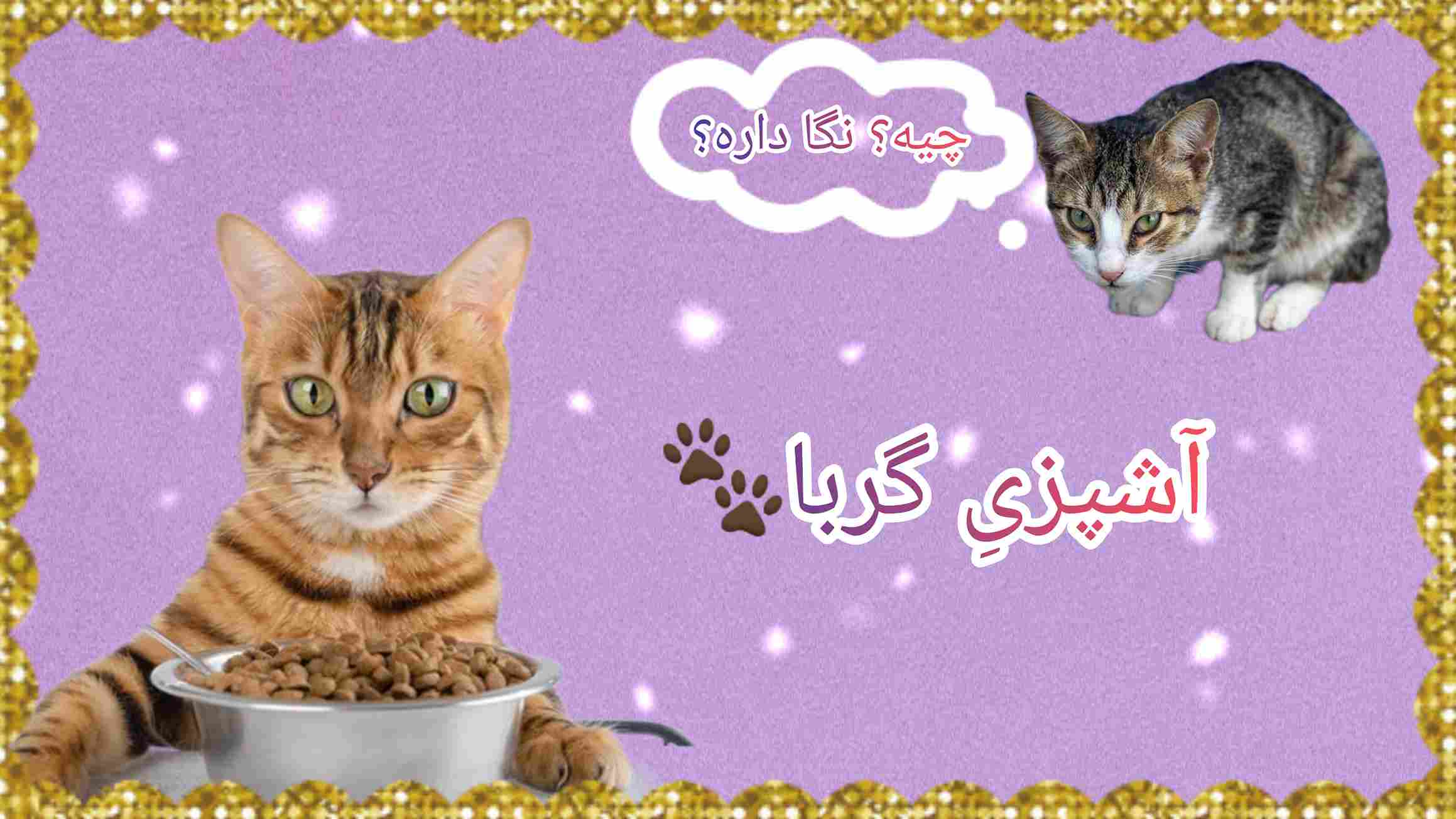 آشپزی با گوربا 🐾