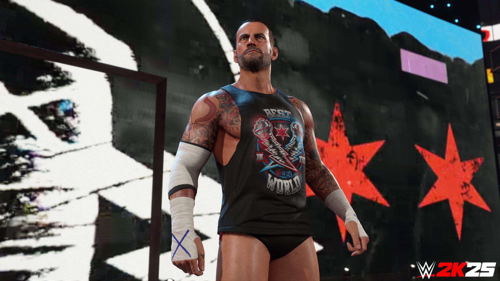 Cm punk