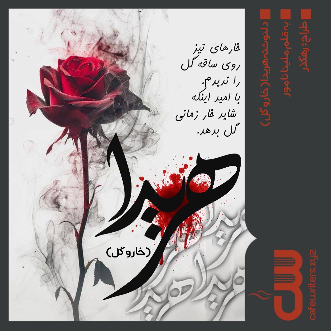 c5bf27_25a25e22-25Negar-1747903011938.png