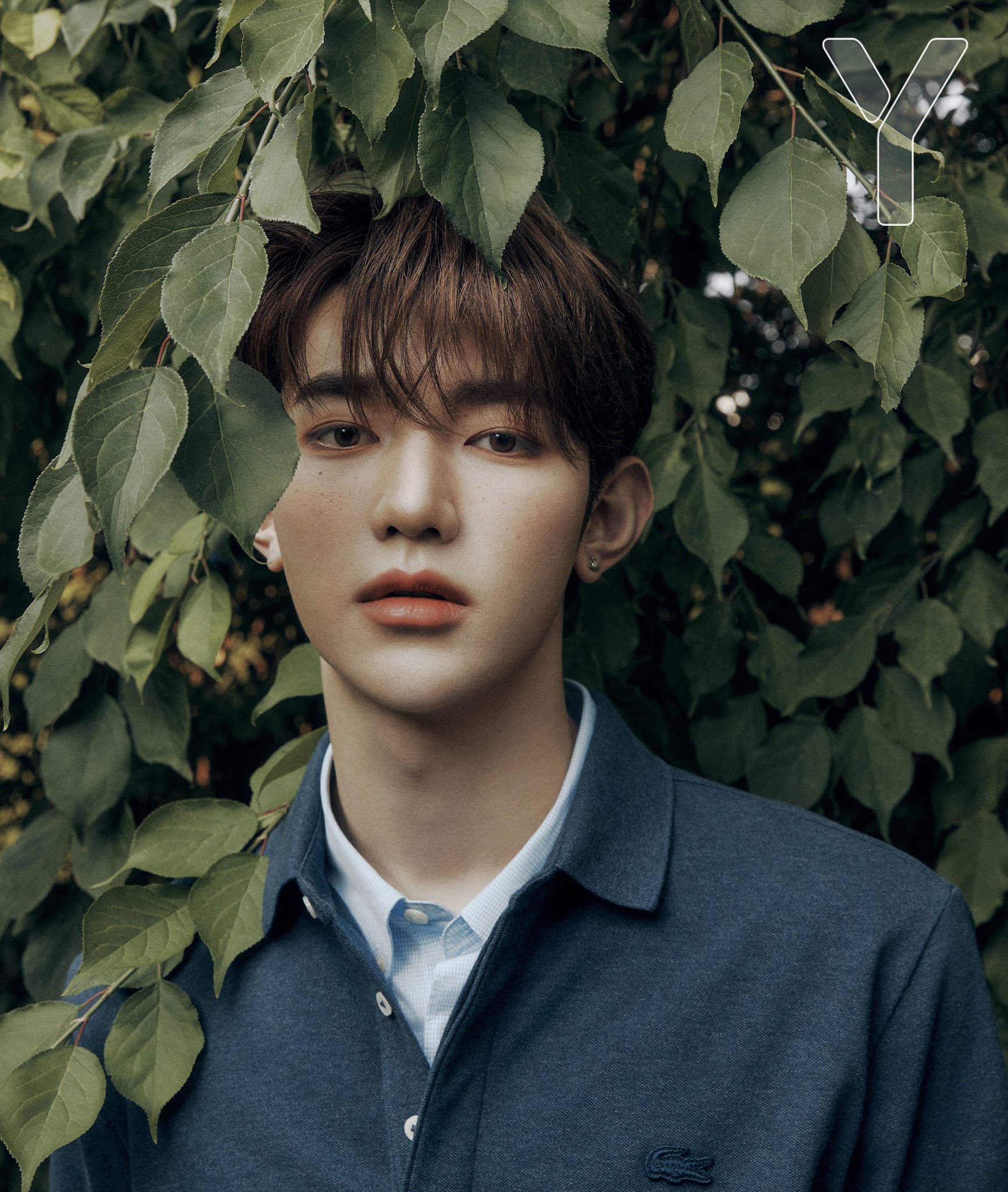 زیروبیسوان