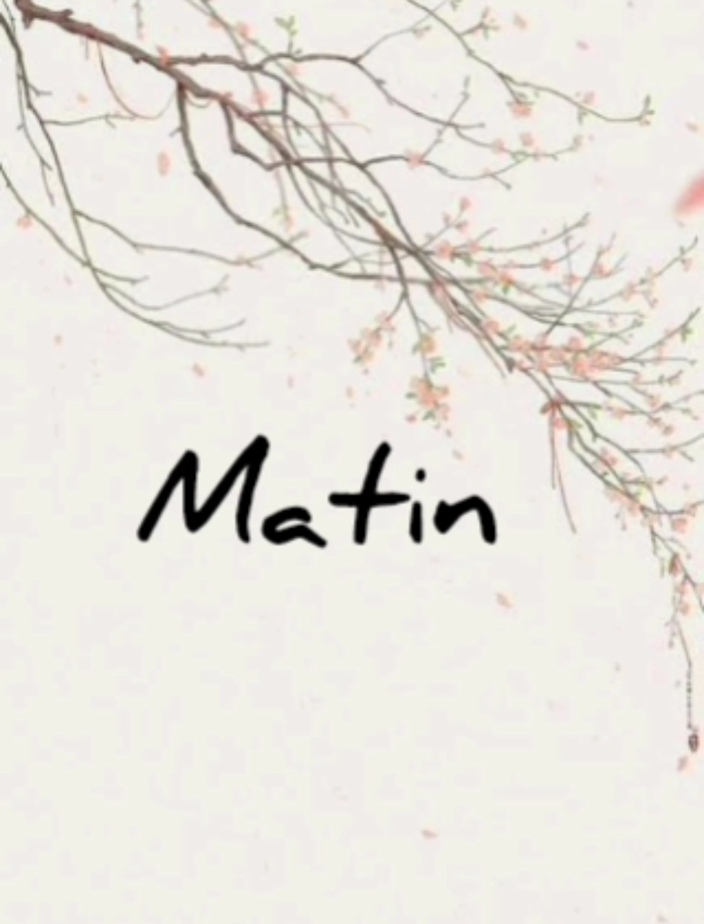 d1dd24_25VideoCapture-20251224-234650.jp