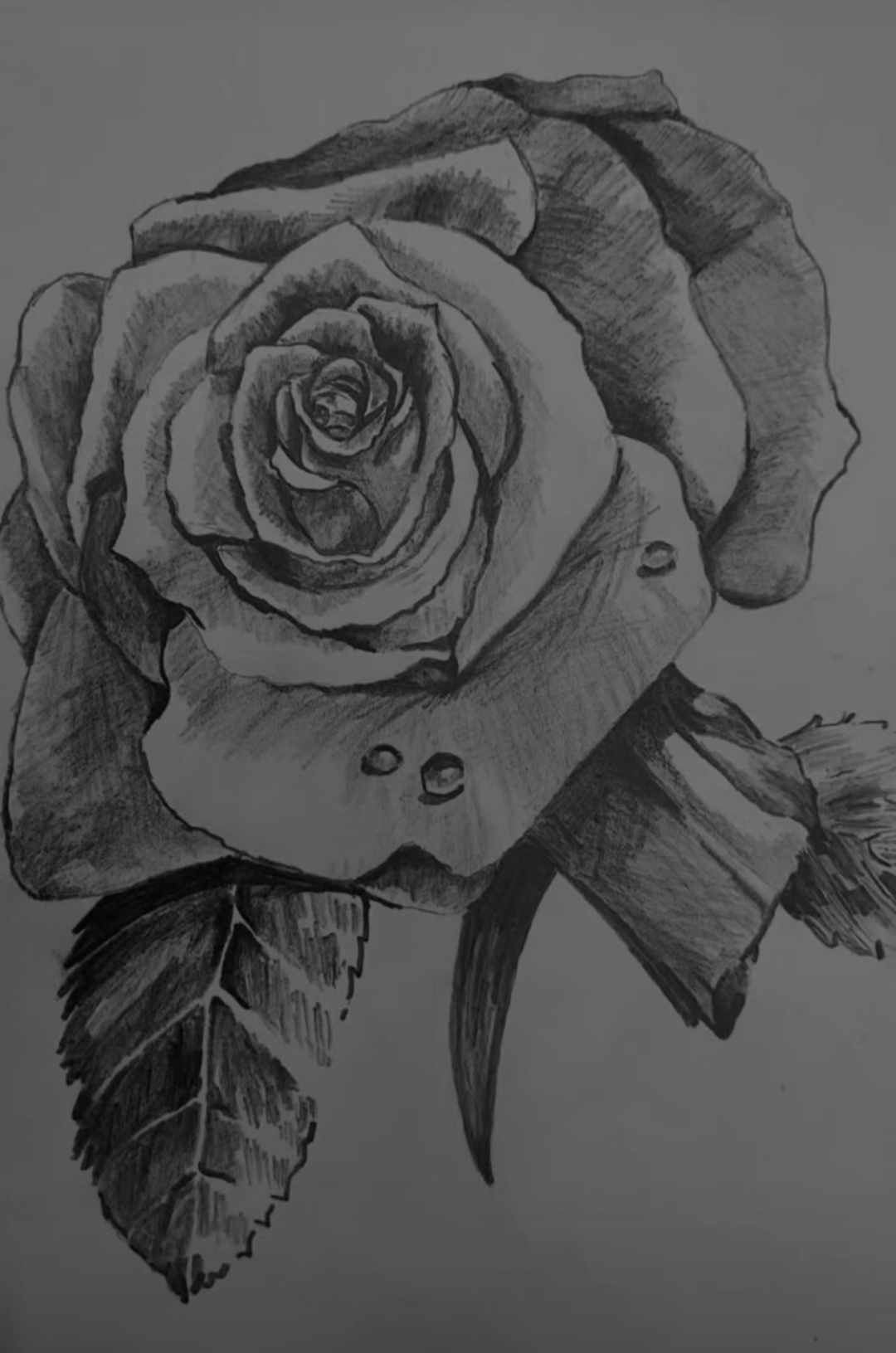 de3c21_26IMG-%DB%B2%DB%B0%DB%B2%DB%B6%DB