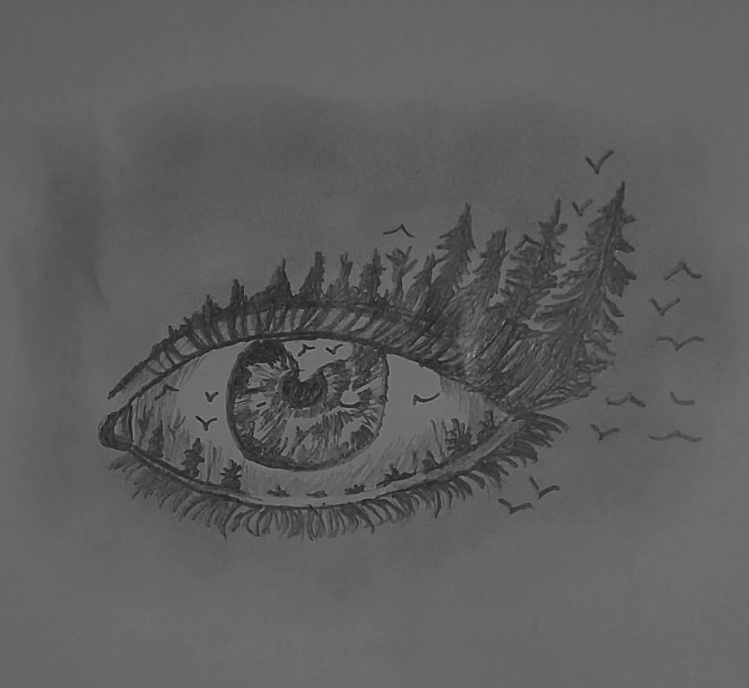 de5a21_26IMG-%DB%B2%DB%B0%DB%B2%DB%B6%DB