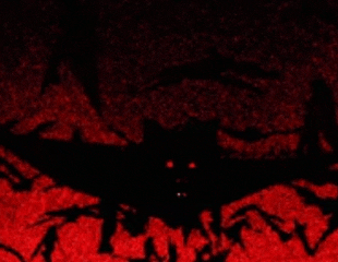 dfad20_26InShot-20260921-011653814.gif