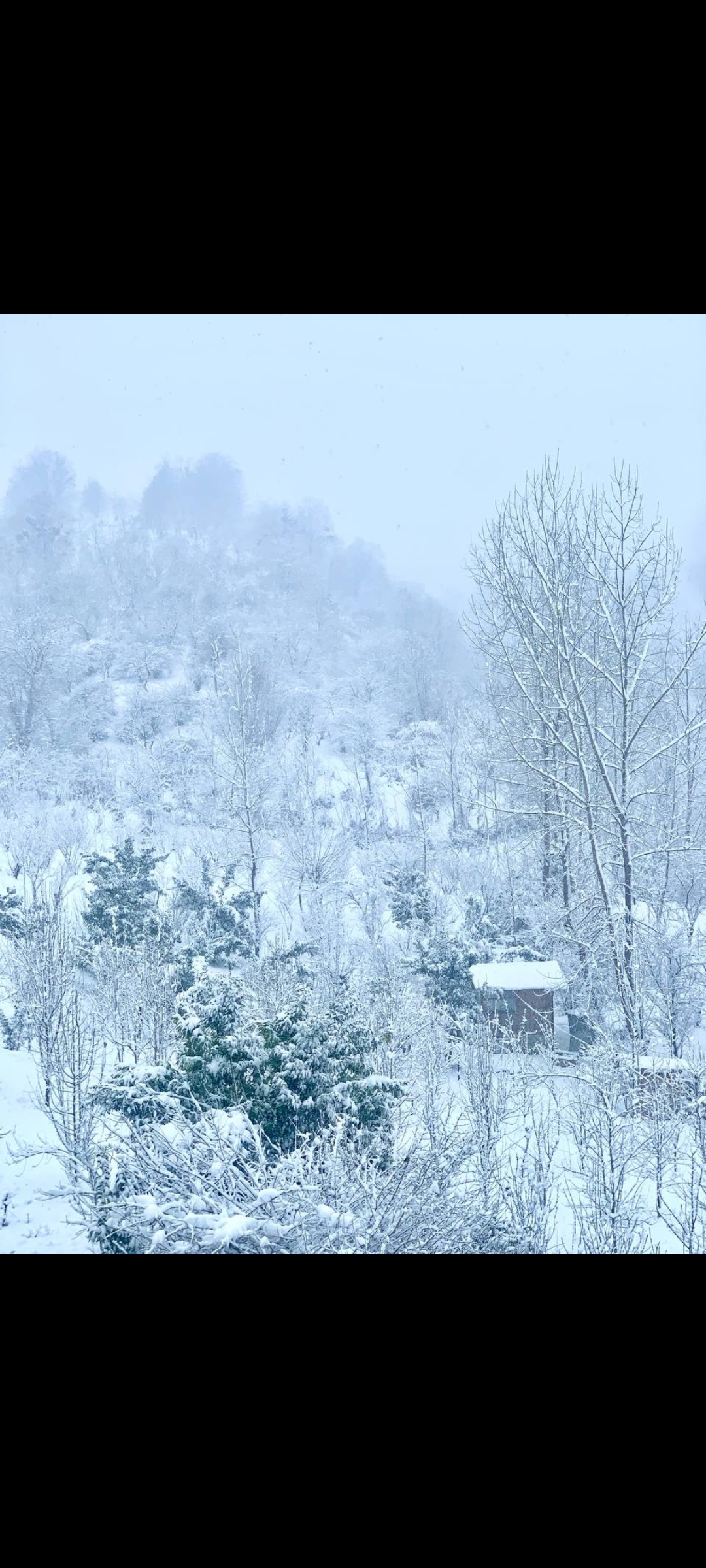 e14923_26Screenshot-%DB%B2%DB%B0%DB%B2%D