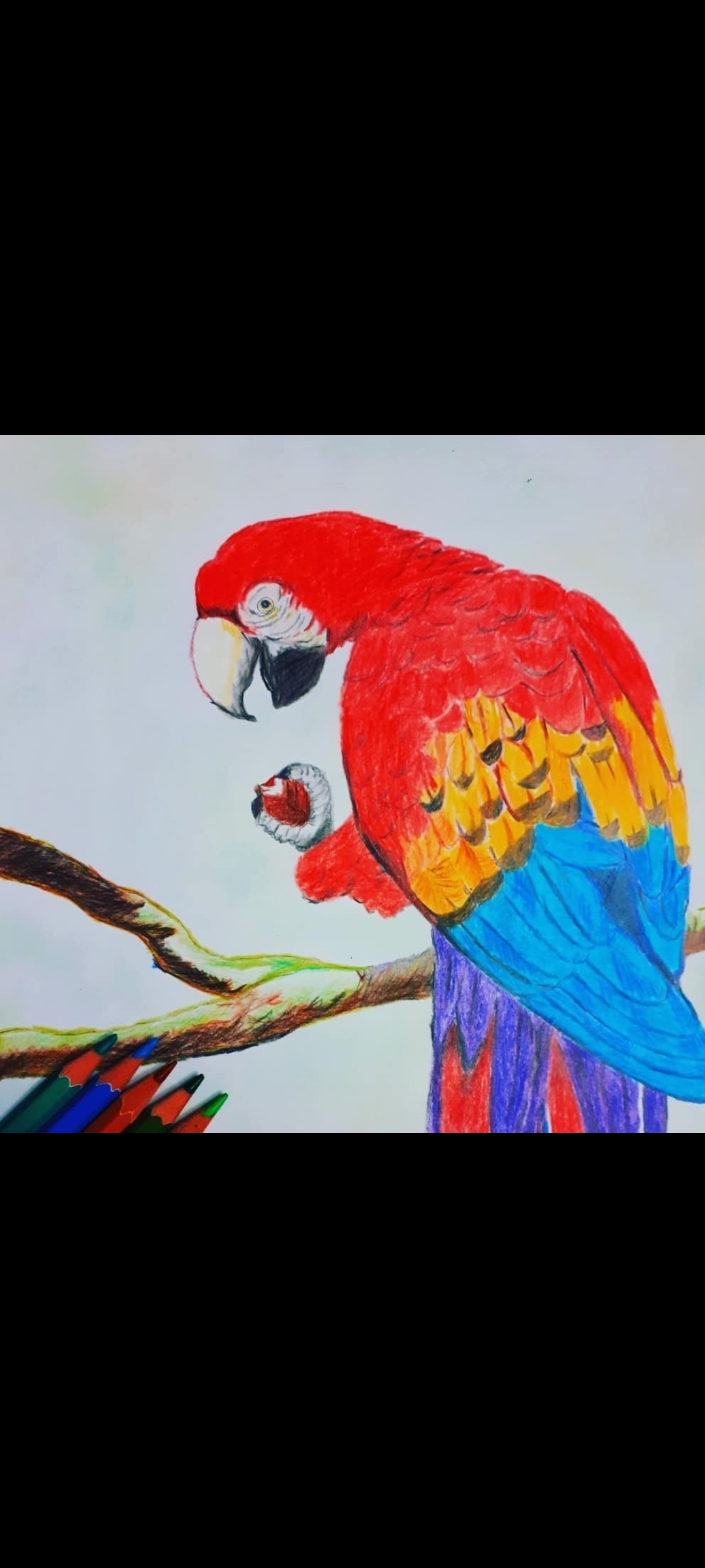 e23320_26Screenshot-%DB%B2%DB%B0%DB%B2%D