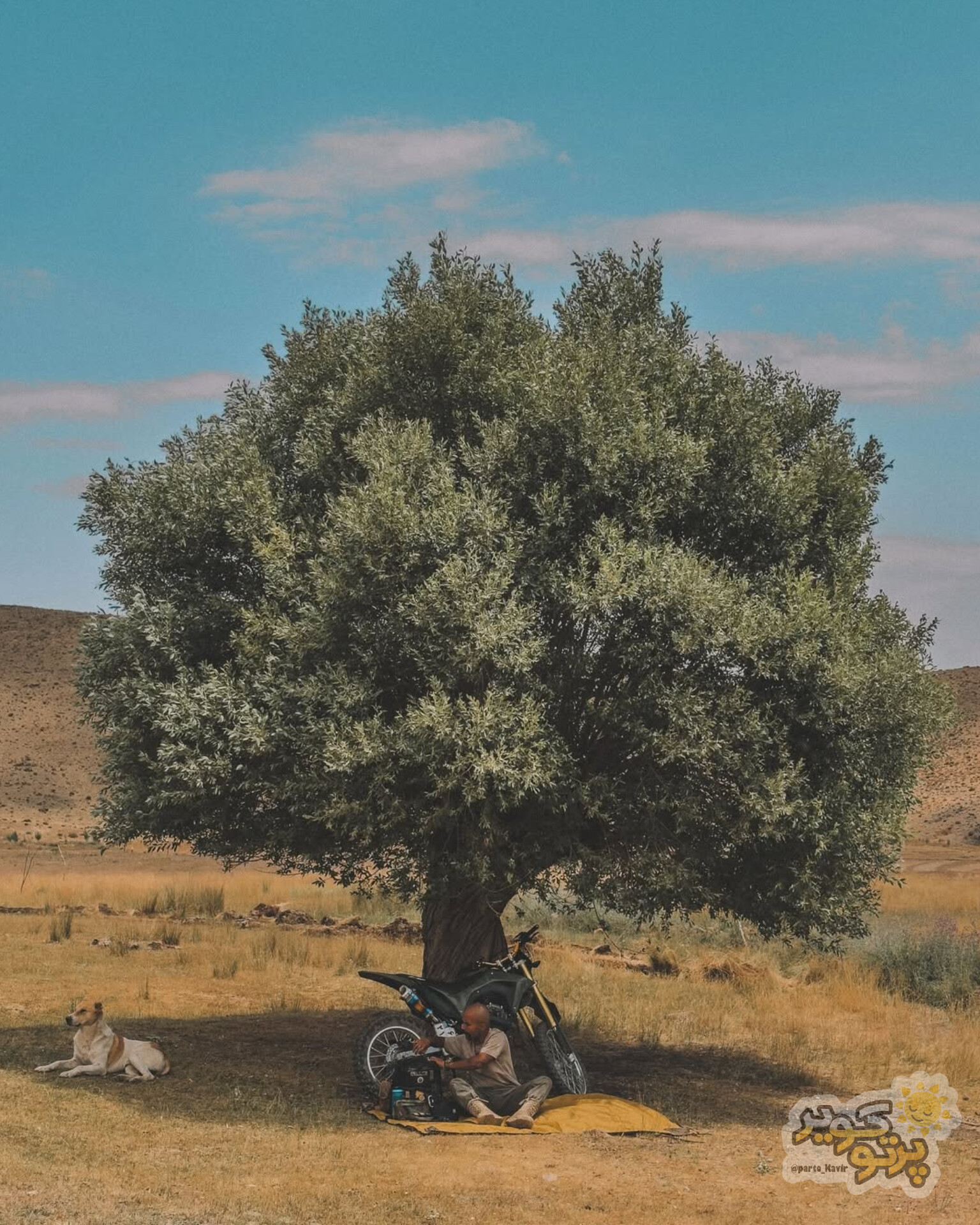 کوه کرکس