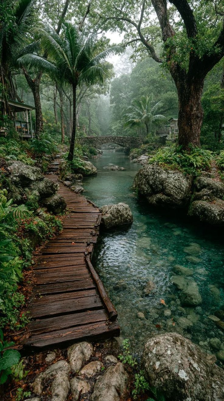 e7ec04_25Unforgettable-Tropical-Rainforest-Adventures-to-Explore-Nature-s-Wonders.jpeg