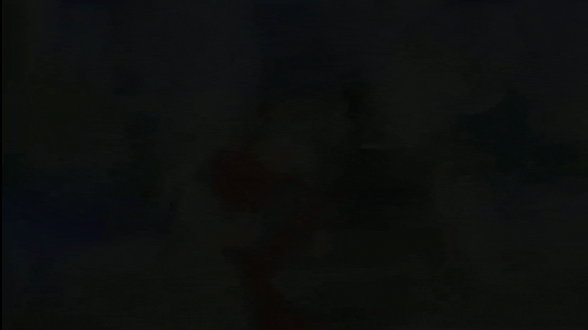e8d516_26InShot-20260816-173028804.gif