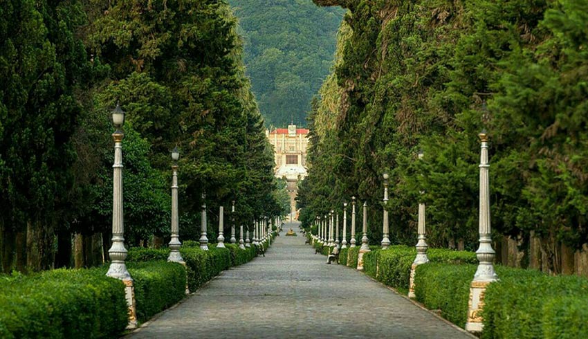 ee9f31_25%D8%A8%D9%84%D9%88%D8%A7%D8%B1-