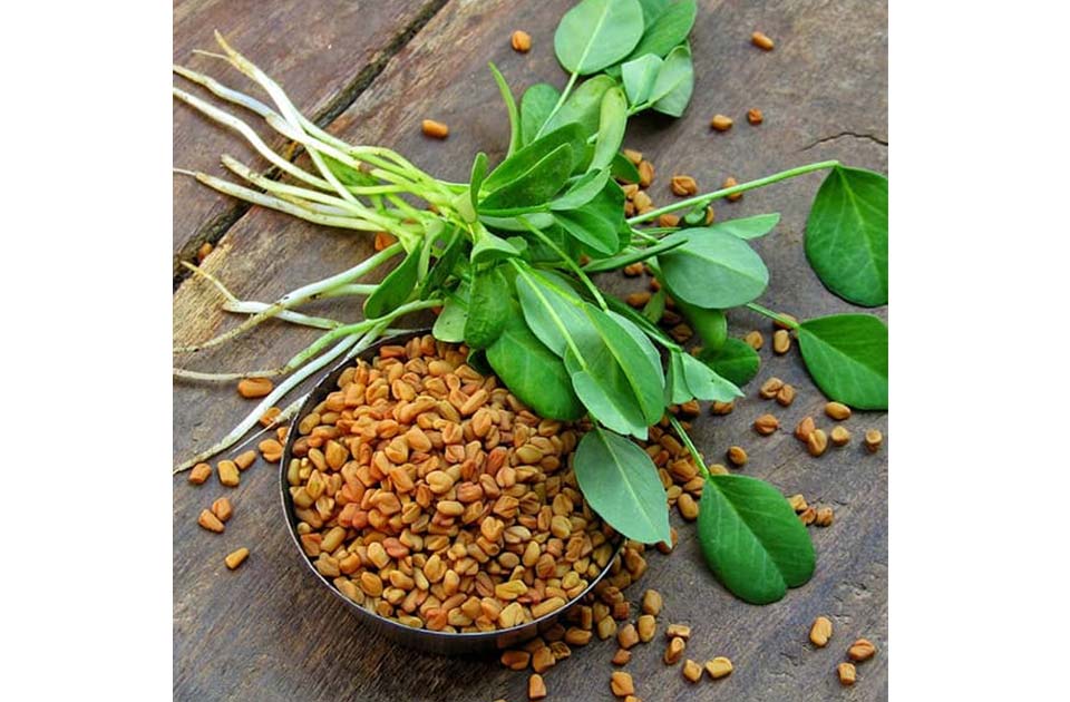 شنبلیه و درمان بوی بد دهان 