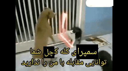 f20909_25km-20251209-240p-12f-20251209-0