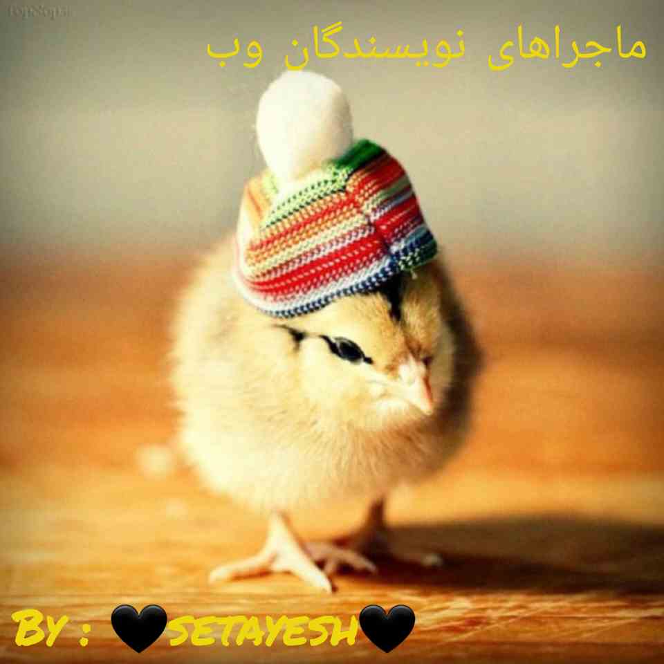 🐣نویسندگان وب به سبک جوجه p1🐣