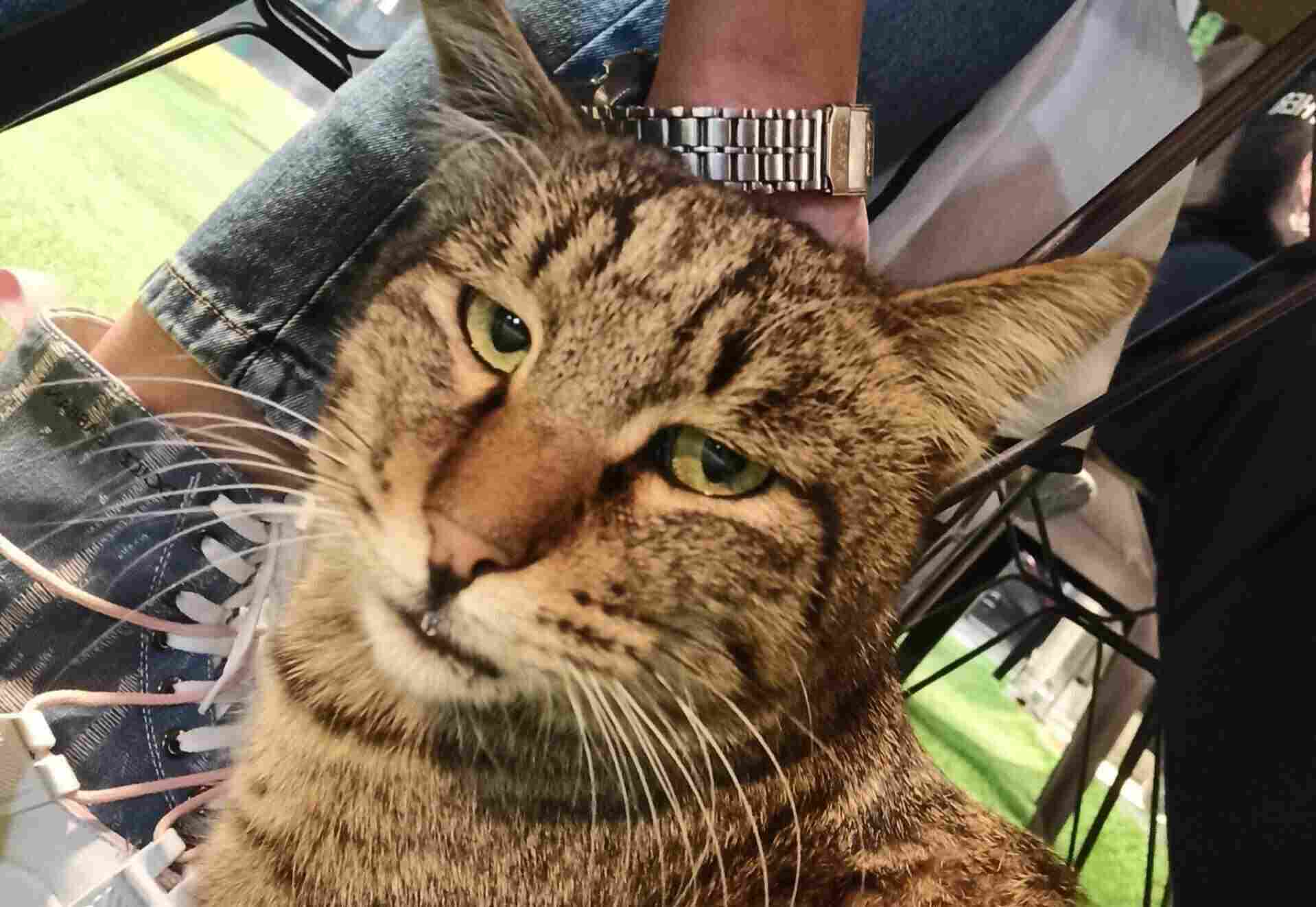 بهترین راه برای پاس شدن...