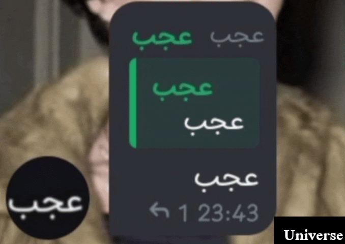 fc3a16_26InShot-20260916-211133666.gif