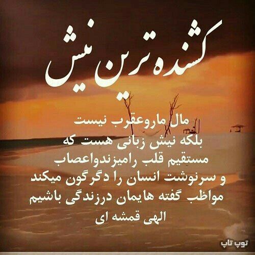fdbf27_25b3e61b44-8c33-4dad-adaf-c9d1620563dd.jpeg