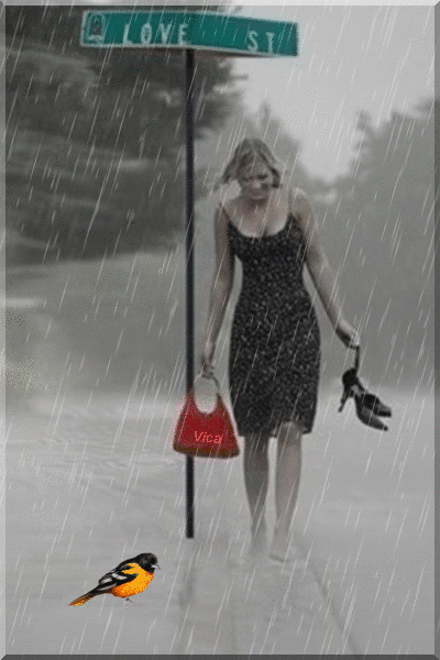 fe3b26_253fe18eac-65d7-46ce-9fd4-57f64d8f1a91.gif