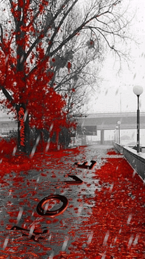 fed327_25bb8a1854-dda5-4487-bd9f-1a337406daf0.gif