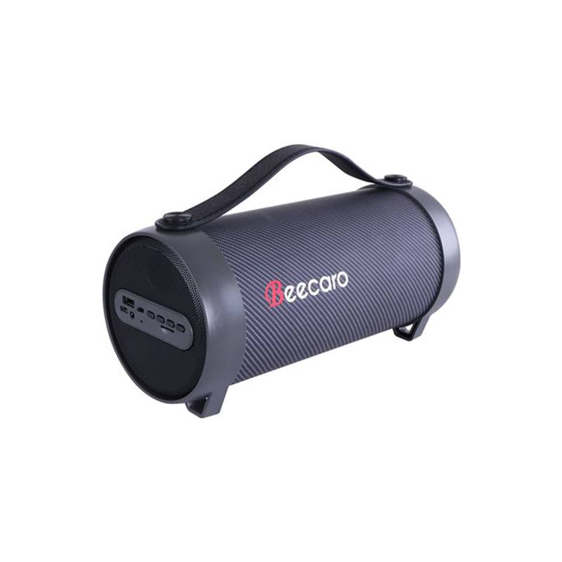 اسپیکر بیکارو