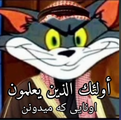 ffd312_255e6a21-25Screenshot-20250821-17