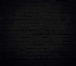 101923_2620260520-033631.gif